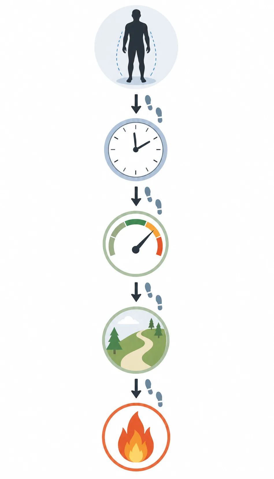 Redaktionelles Flussdiagramm zu Körpergewicht, Zeit, Tempo, Untergrund und geschätztem Energieverbrauch beim Gehen